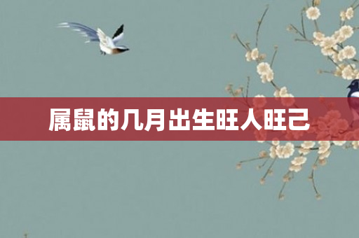 属鼠的几月出生旺人旺己