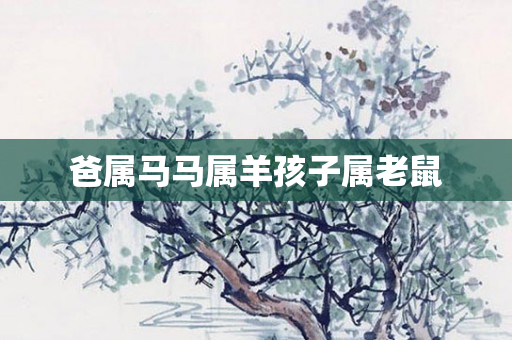 爸属马马属羊孩子属老鼠