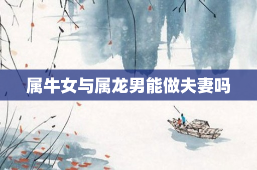 属牛女与属龙男能做夫妻吗