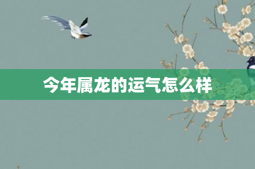今年属龙的运气怎么样