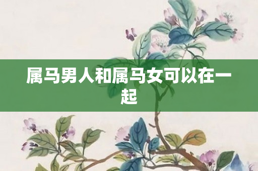 属马男人和属马女可以在一起