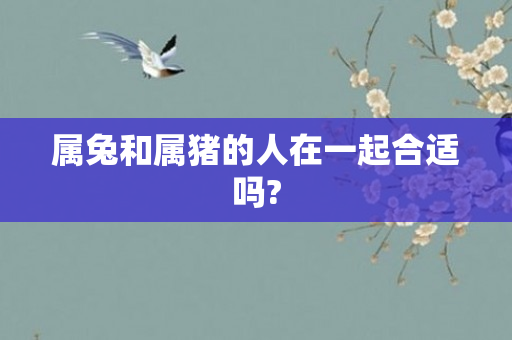 属兔和属猪的人在一起合适吗?