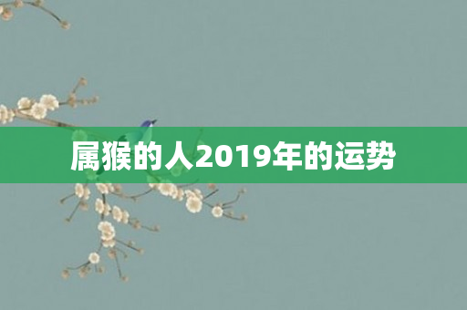 属猴的人2019年的运势