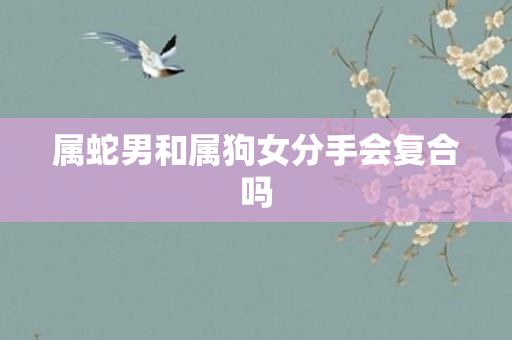 属蛇男和属狗女分手会复合吗