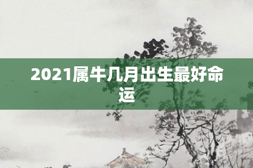 2021属牛几月出生更好命运