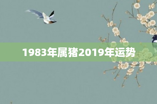 1983年属猪2019年运势