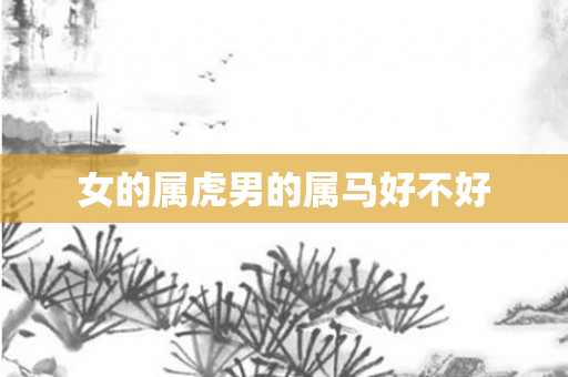 女的属虎男的属马好不好
