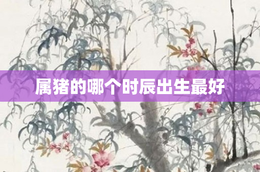 属猪的哪个时辰出生更好