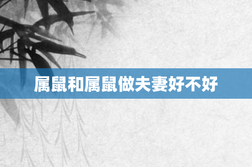 属鼠和属鼠做夫妻好不好
