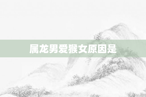 属龙男爱猴女原因是