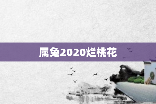 属兔2020烂桃花