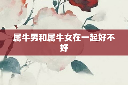 属牛男和属牛女在一起好不好