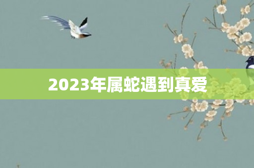2023年属蛇遇到真爱