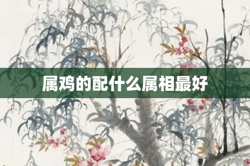 属鸡的配什么属相更好