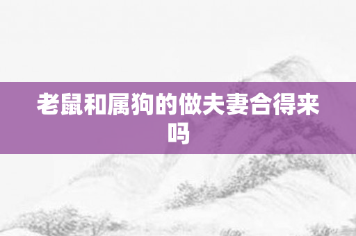 老鼠和属狗的做夫妻合得来吗