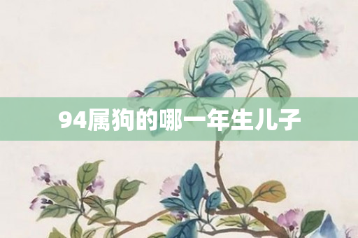 94属狗的哪一年生儿子