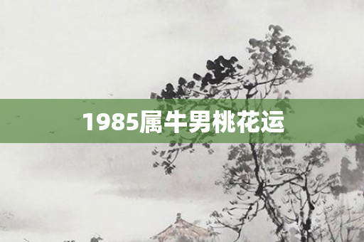 1985属牛男桃花运