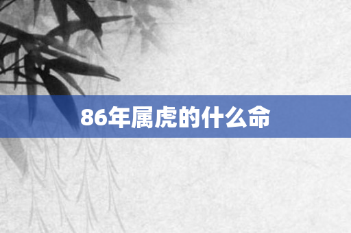 86年属虎的什么命