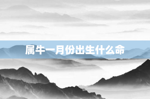 属牛一月份出生什么命