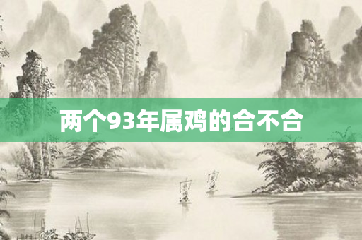 两个93年属鸡的合不合