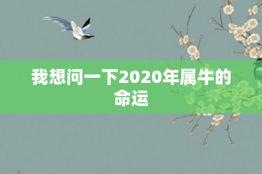 我想问一下2020年属牛的命运