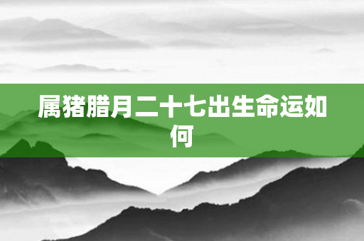 属猪腊月二十七出生命运如何