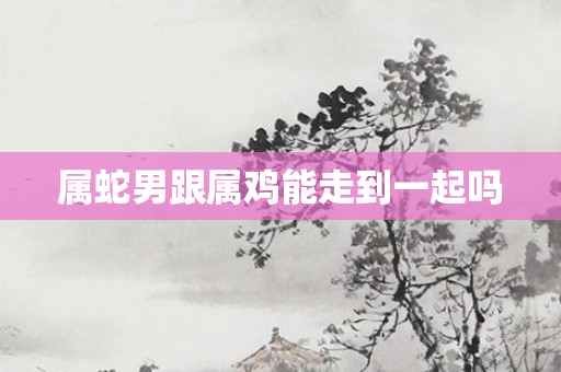 属蛇男跟属鸡能走到一起吗