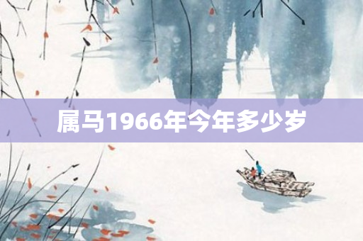 属马1966年今年多少岁