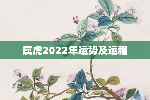 属虎2022年运势及运程