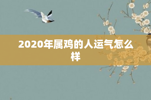 2020年属鸡的人运气怎么样
