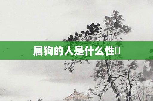 属狗的人是什么性挌