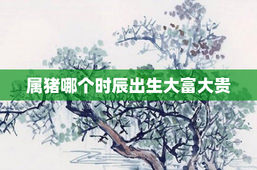 属猪哪个时辰出生大富大贵