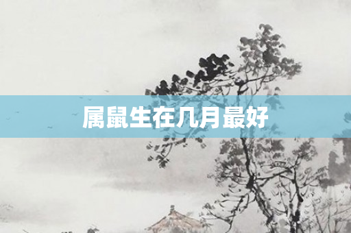 属鼠生在几月更好