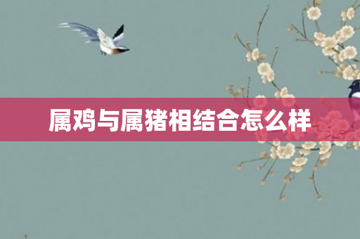 属鸡与属猪相结合怎么样