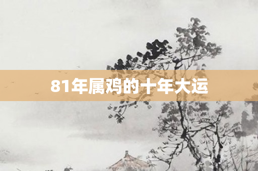81年属鸡的十年大运