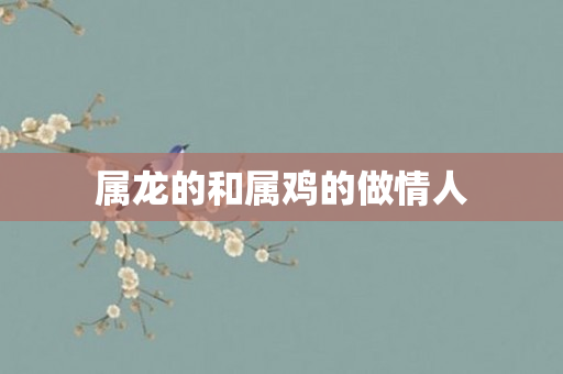 属龙的和属鸡的做情人