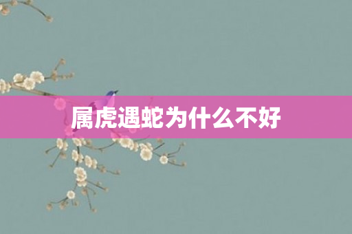 属虎遇蛇为什么不好