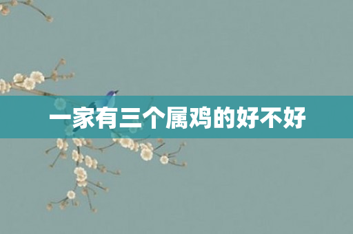 一家有三个属鸡的好不好