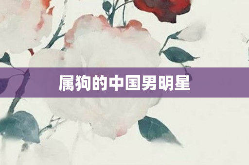 属狗的中国男明星