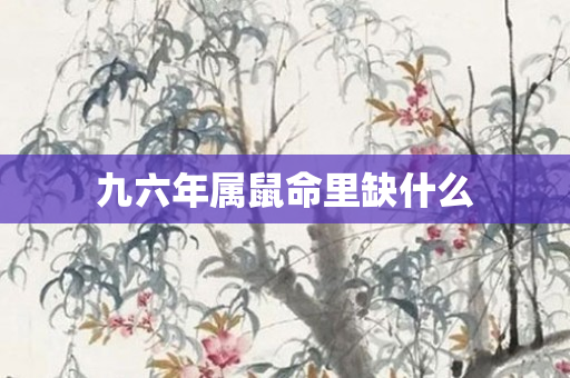 九六年属鼠命里缺什么
