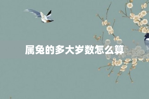 属兔的多大岁数怎么算