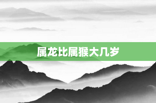 属龙比属猴大几岁