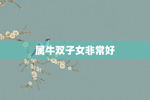 属牛双子女非常好