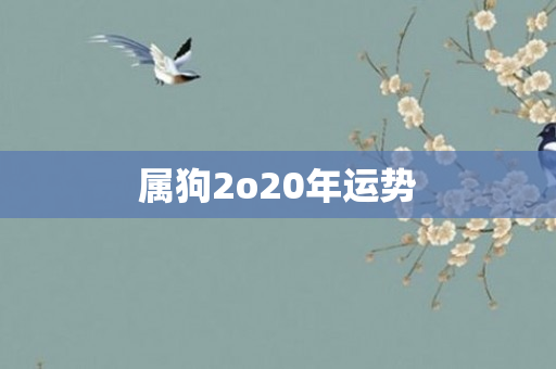 属狗2o20年运势