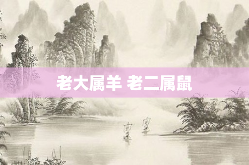 老大属羊 老二属鼠