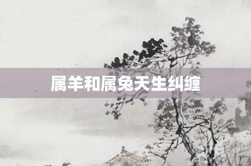 属羊和属兔天生纠缠