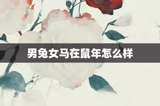 男兔女马在鼠年怎么样