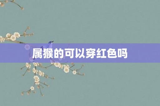属猴的可以穿红色吗
