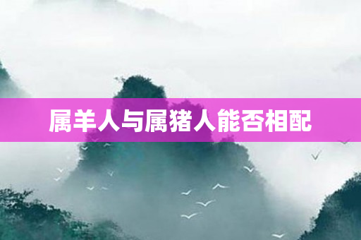 属羊人与属猪人能否相配