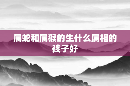属蛇和属猴的生什么属相的孩子好